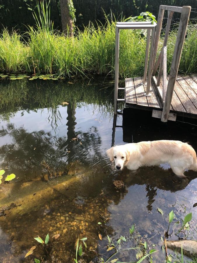 Appartement Millies Hosting - Familienurlaub Mit Hund In Kaernten à Sankt Paul im Lavanttal Extérieur photo