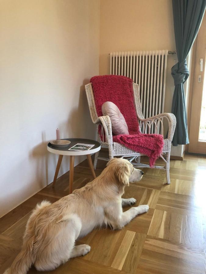 Appartement Millies Hosting - Familienurlaub Mit Hund In Kaernten à Sankt Paul im Lavanttal Extérieur photo