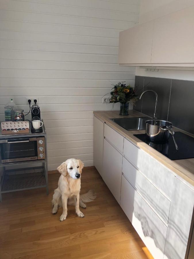 Appartement Millies Hosting - Familienurlaub Mit Hund In Kaernten à Sankt Paul im Lavanttal Extérieur photo