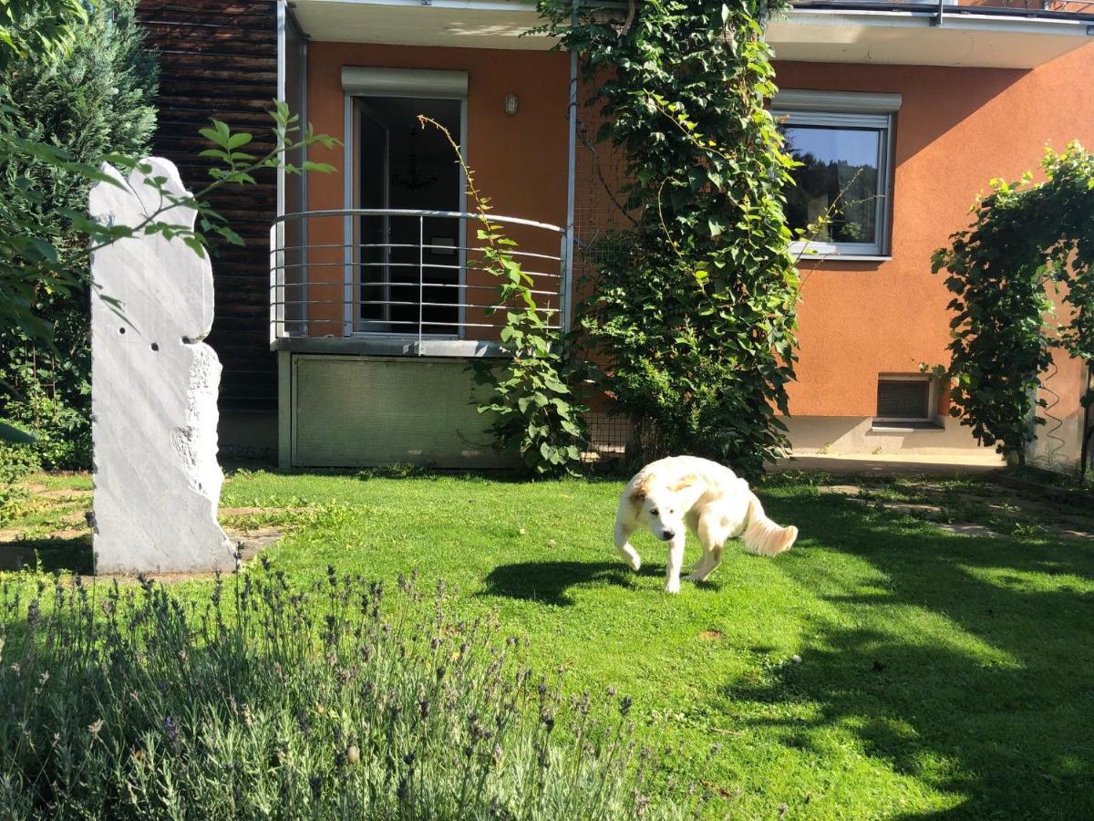 Appartement Millies Hosting - Familienurlaub Mit Hund In Kaernten à Sankt Paul im Lavanttal Extérieur photo